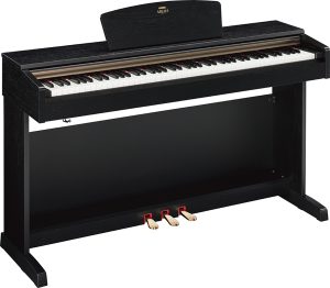 Yamaha Arius YDP-151 - Canadian Arabic Orchestra Store